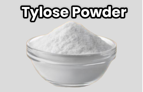 Tylose Powder (100gm)
