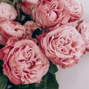 Artificial Flower