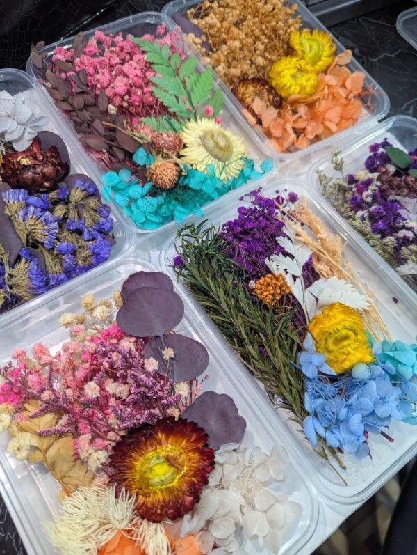 Dried Flowers (Random)