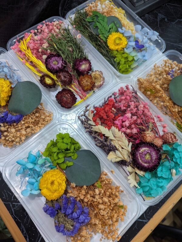 Dried Flowers (Random) - Image 3