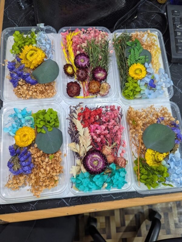 Dried Flowers (Random) - Image 2