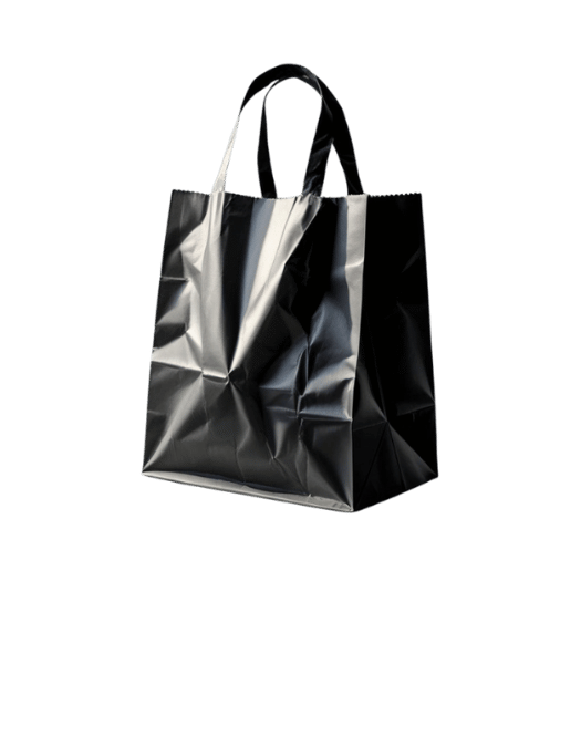 gift bags shopping bag