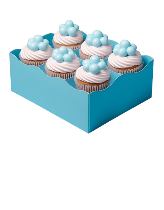 Cupcake Box
