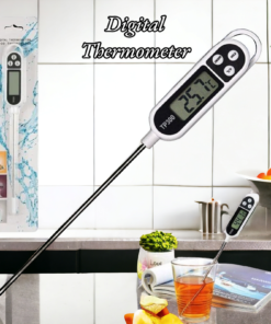 Digital Thermometer